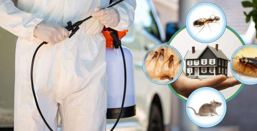 Babadağ Böcek İlaçlama