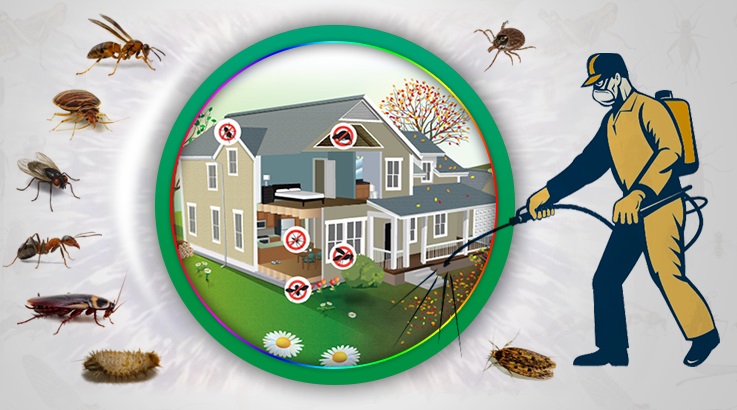 Babadağ Böcek İlaçlama