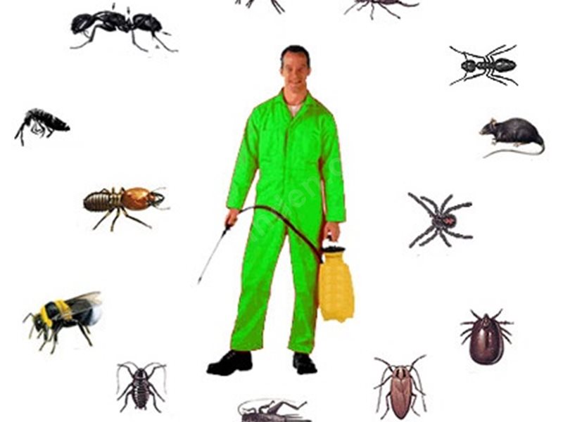 Babadağ Böcek İlaçlama